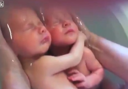 VIDEO: dvynių maudynės lyg mamos gimdoje