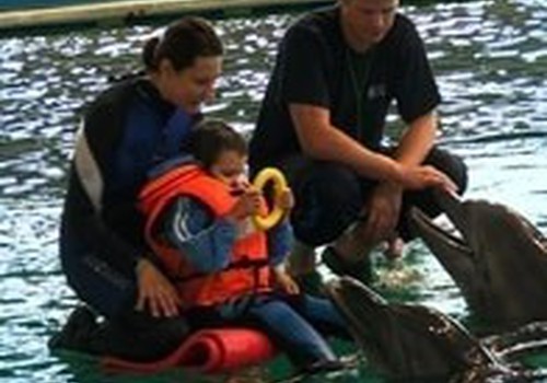Šią vasarą delfinai į Lietuvą dar negrįš