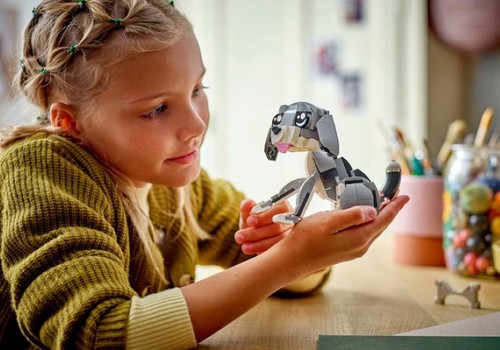 LEGO rinkiniai pagal amžių ir pomėgius