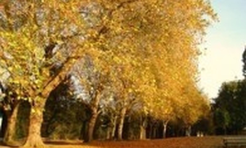  Naktimis – šalnos, dienomis – nedidelė šiluma     