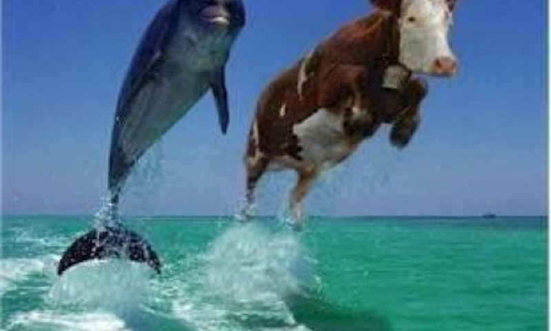 Penktadienis! Pasijuokime ! 