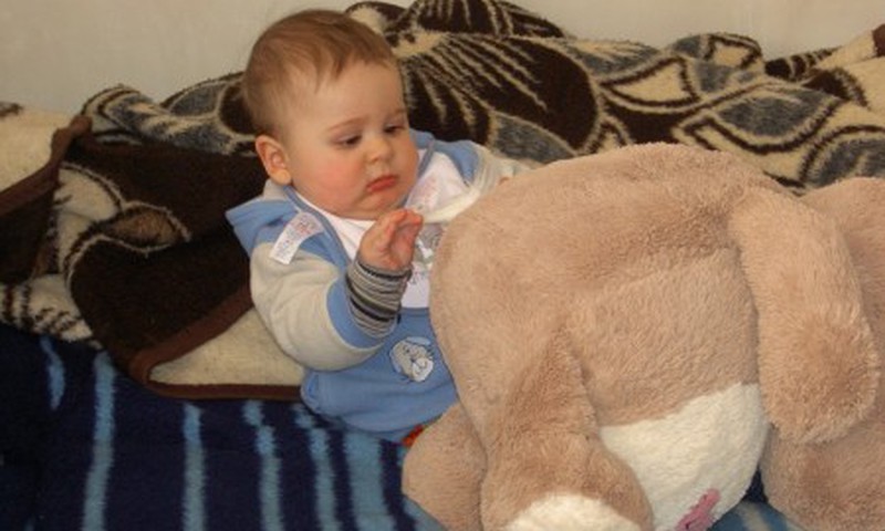 Kajus atrado begemoto uodegytę