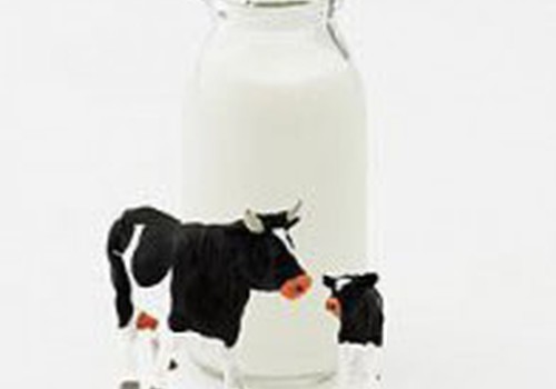 Metukų vaikui: karvės pienas ar mišinukas?