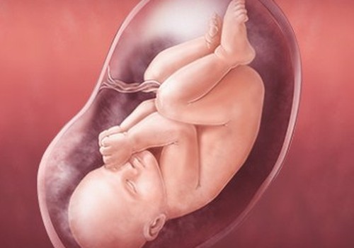 VIDEO Nėštumo kalendorius. 37 savaitė: Mėgaukitės nėštumo paskutinėmis savaitėmis
