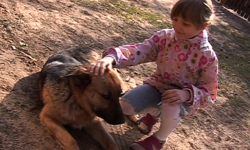 Šį šeštadienį MK laidoje - apie žindymo režimą, šuniuko paieškas ir buteliukų priežiūrą