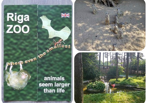 Irmos blogas: zoo sodas - džiaugsmas vaikams
