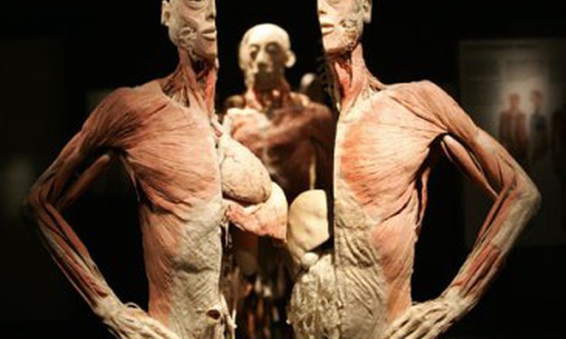 Šiandien atsidaro kontroversiška Žmogaus kūno paroda