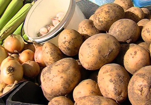 VIDEO: Šviežios bulvės ir sveiki patiekalai iš jų