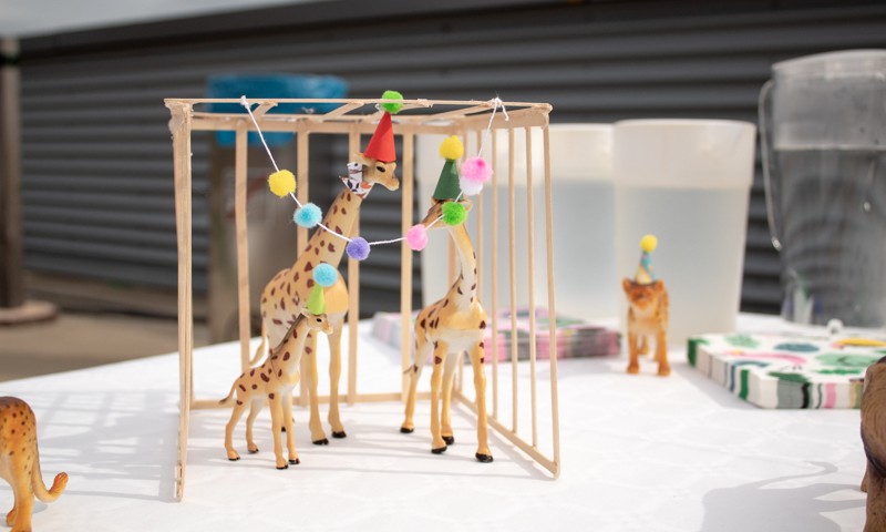 Savo gimtadienio dovanas vaikai atidavė zoologijos sodo žirafoms