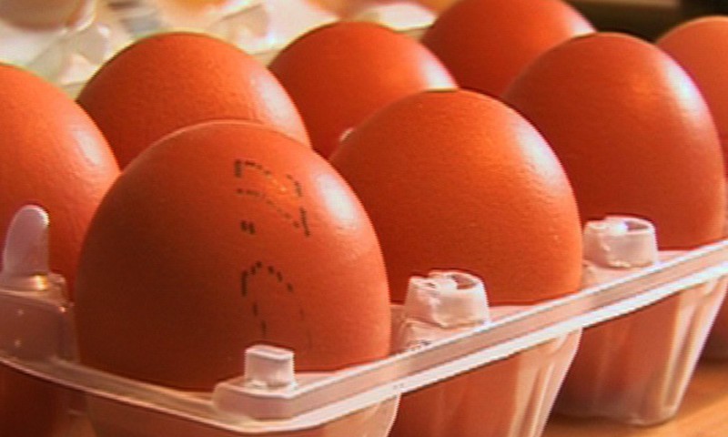 Kada mažyliui pasiūlyti kiaušinį?