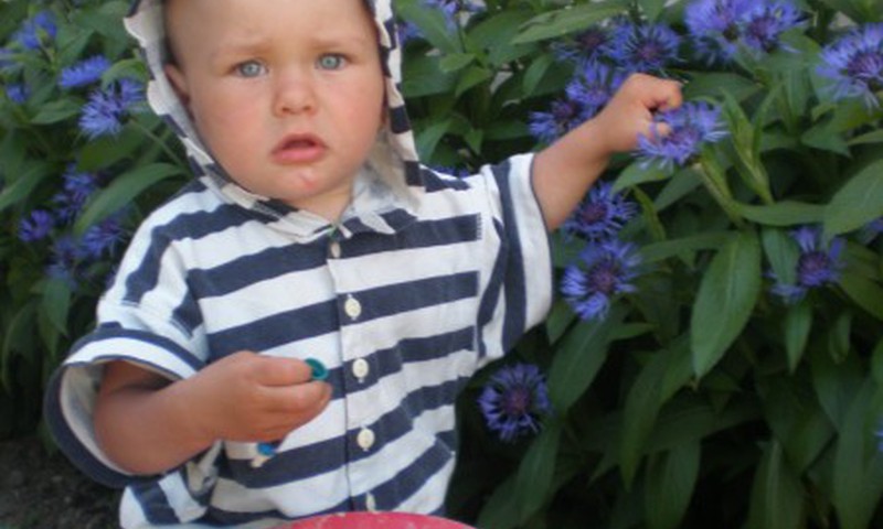 Viens du trys. Bumbsi kamuoliai...