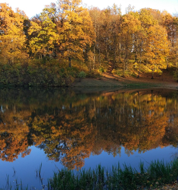 MOKINUKŲ KASDIENYBĖ. Ir vėl rudeniniai lapai...