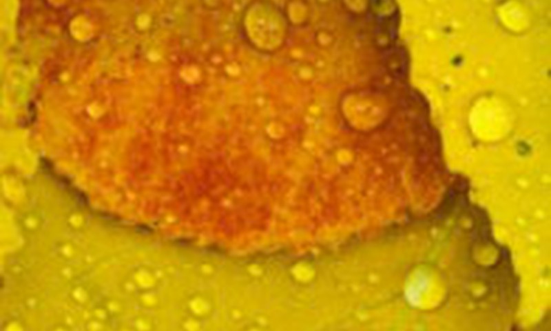 Liūdna meilės istorija