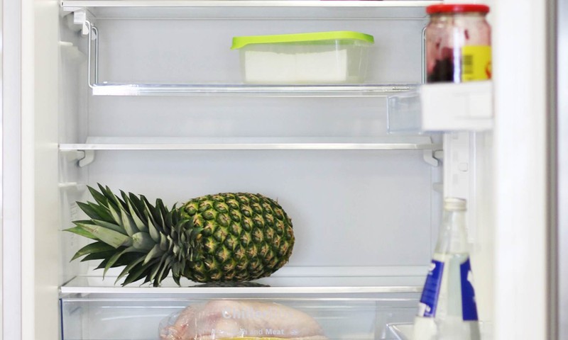 Kaip turėtų atrodyti idealios šeimininkės šaldytuvas?