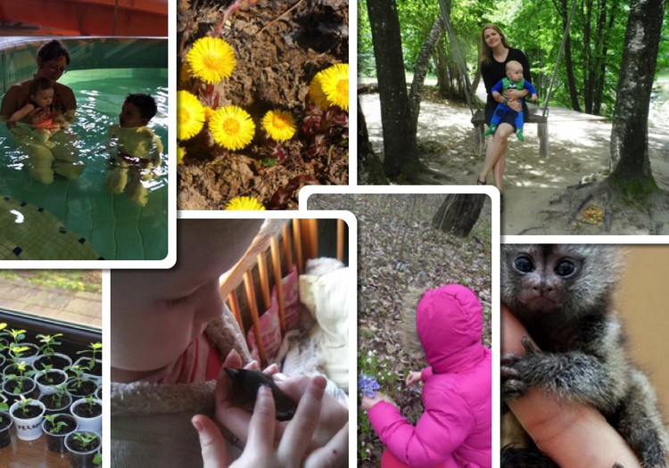 Kas tapo šios savaitės blogere ir laimi knygą "Vilko dovana"?