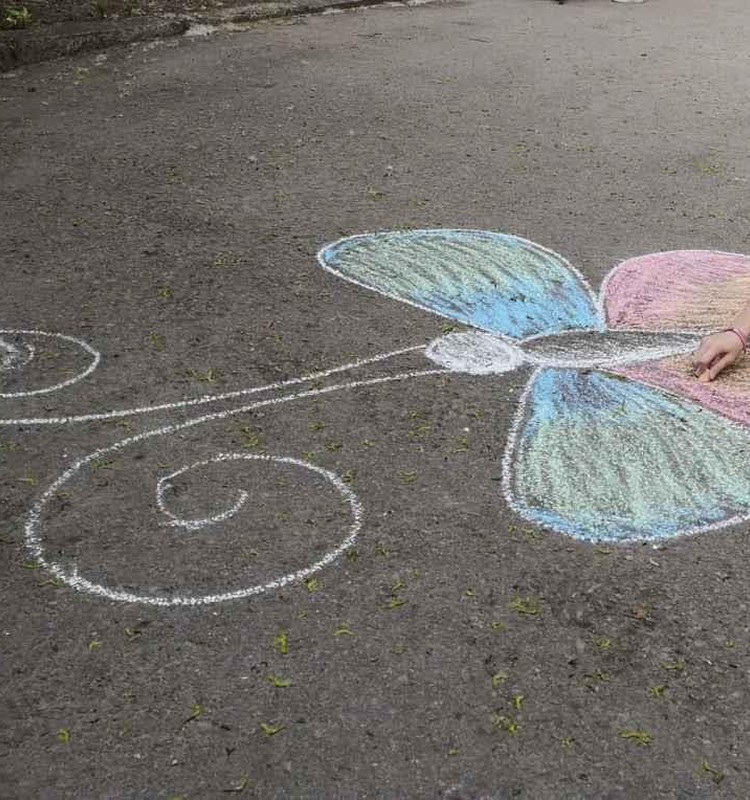 Iš kelionių skrynelės. Tropinių drugelių parodos atidarymo belaukiant