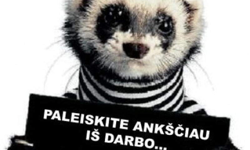 Viliojantis pasiūlymas