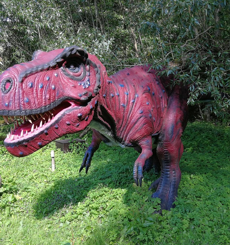 Dino parkas Radailiuose