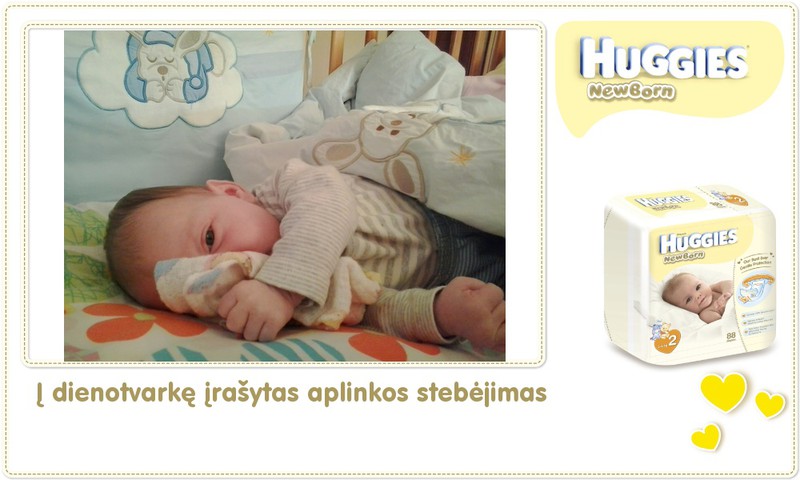 4 mažosios Viltės savaitėlė