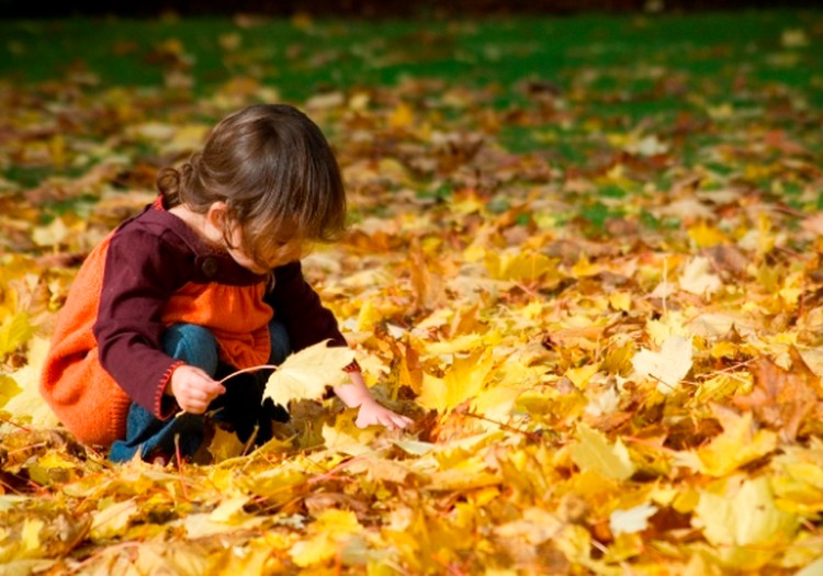 6 patarimai, užklupus rudens ligoms