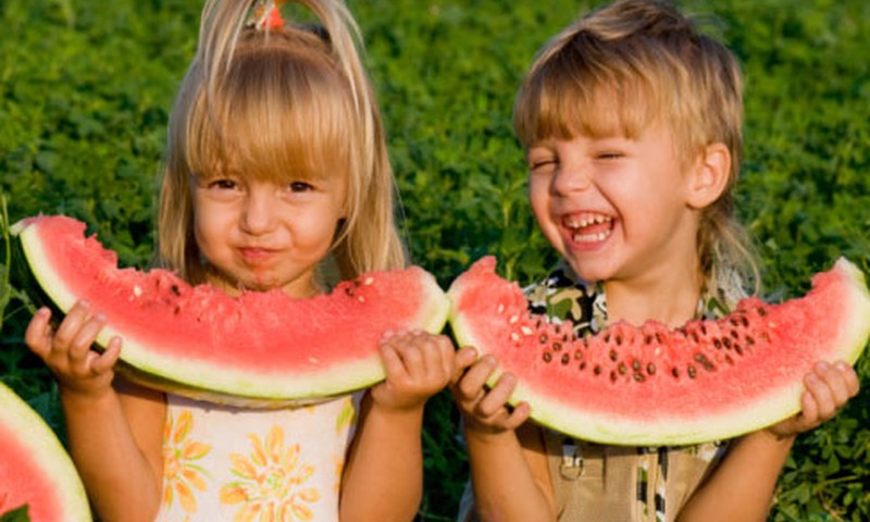 Mitybos specialistas: su kokiais iššūkiais vaikų organizmas susiduria vasarą?