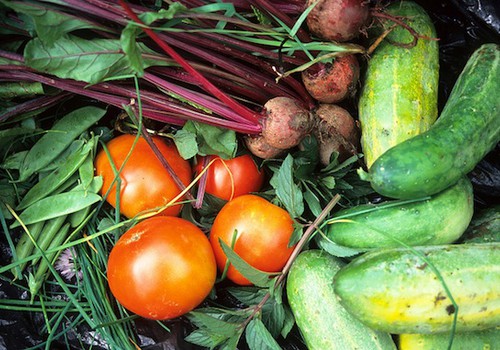 Kokios daržovės labiausiai praturtintos vitaminais?