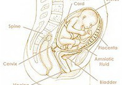 28 savaitė: Aptark su specialistu būsimą gimdymą