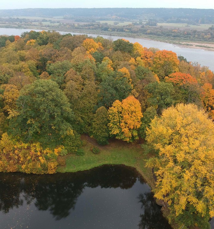 TOKIA MŪSŲ KASDIENYBĖ. Tas nepaprastas rudens grožis...