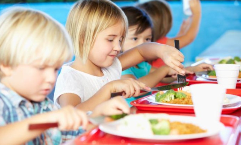 Ar tėveliai patenkinti vaikų maitinimu mokyklose?