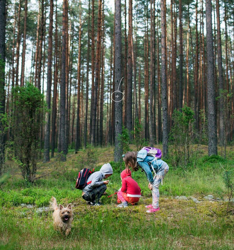 Ką veikti su vaikais per JONINES: 5 žaidimų idėjos