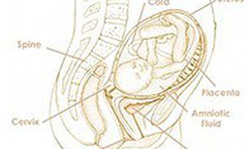 33 nėštumo savaitė: spalvotų ir ryškių sapnų periodas