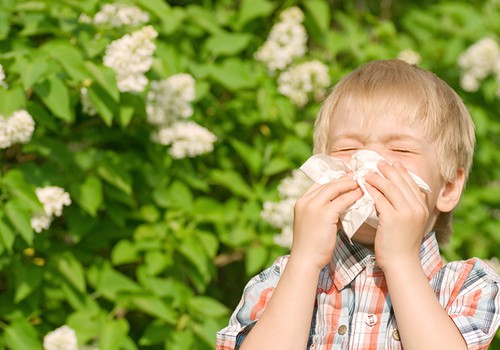 Alerginė sloga: kaip atskirti nuo įprastos?