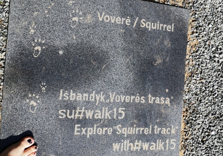 Išbandėme "Voverės trasą"