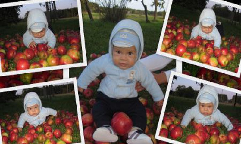 Edvinukas – raudonų obuoliukų šalyje!