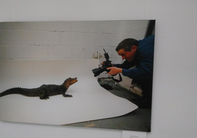 Įspūdžiai iš parodų: savo ir profesionalų