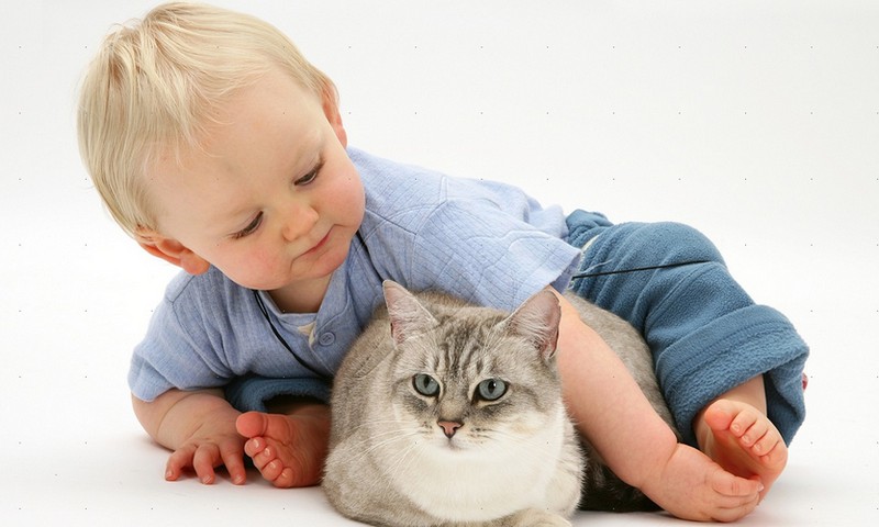Kaip sužinoti ar vaikas alergiškas naminiams gyvūnams?