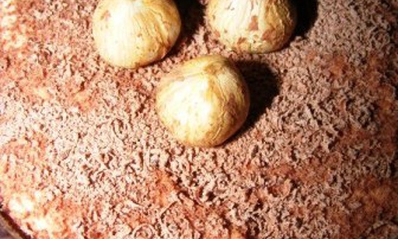 Nekeptas morkų desertas