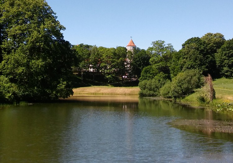 MOKINUKŲ ATOSTOGOS. "Lobio" paieška...