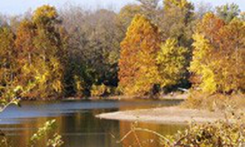 Išgelbėkime susitikimą Varniuose