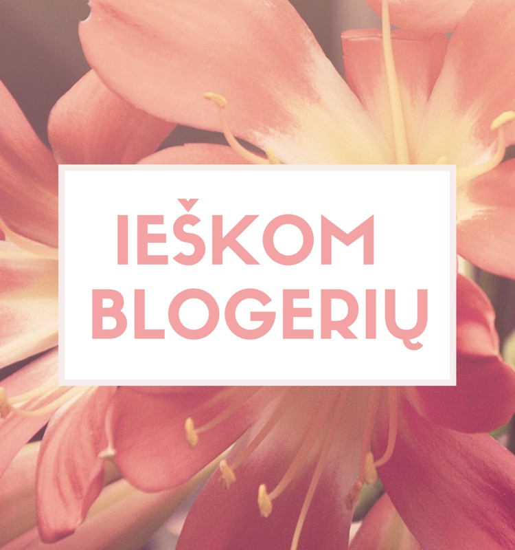 Ieškome naujų nuolatinių blogerių iki Naujųjų metų!