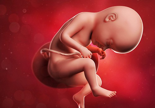 VIDEO Nėštumo kalendorius. 33 savaitė: kūdikis jaučia mamos emocijas