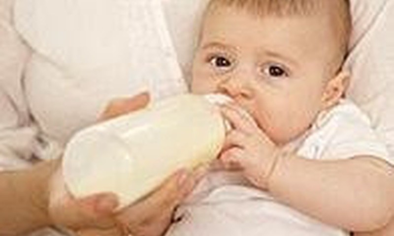 Ar sukakus metams pradėti duoti karvės pieną?