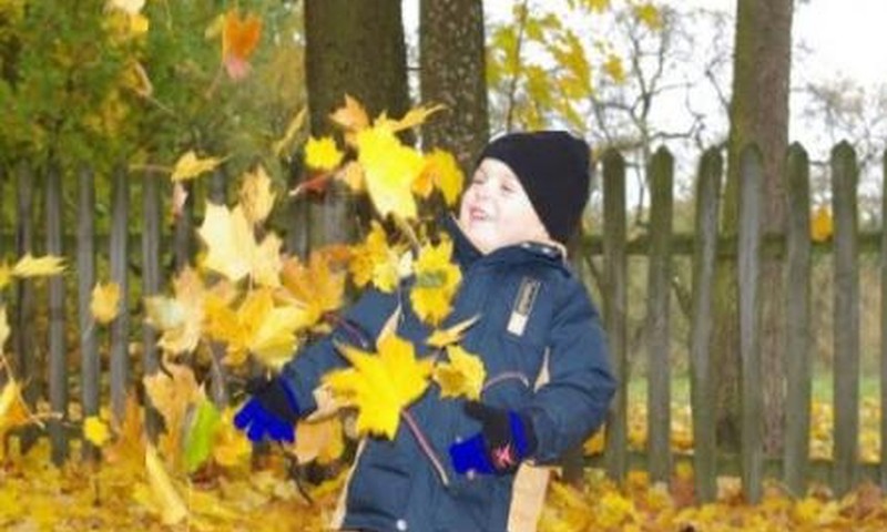 Kiek džiaugsmo su spalvingais lapais!