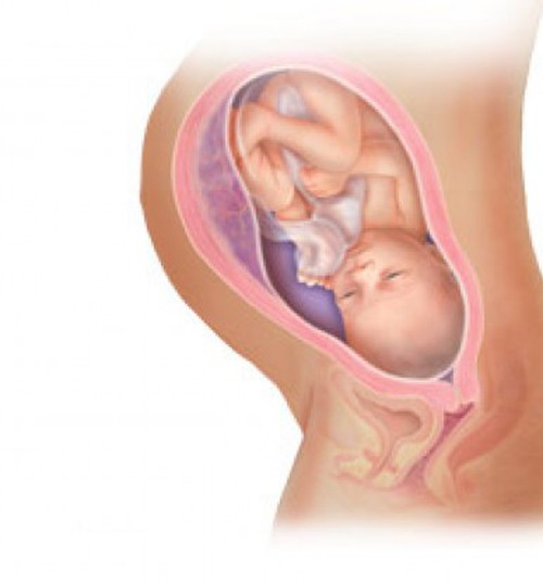 35 nėštumo savaitė: kupina jėgų suruošti mažylio kraitelį!