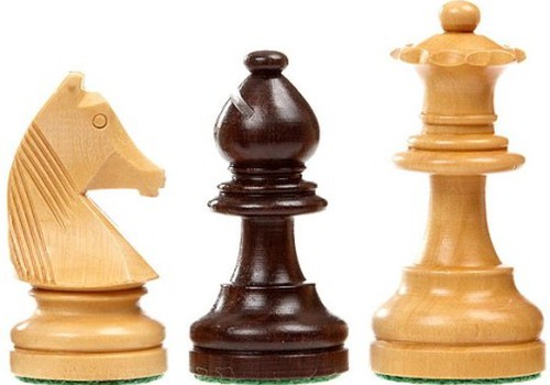 Mokyklose - privaloma tikyba ir šachmatų pamokos?