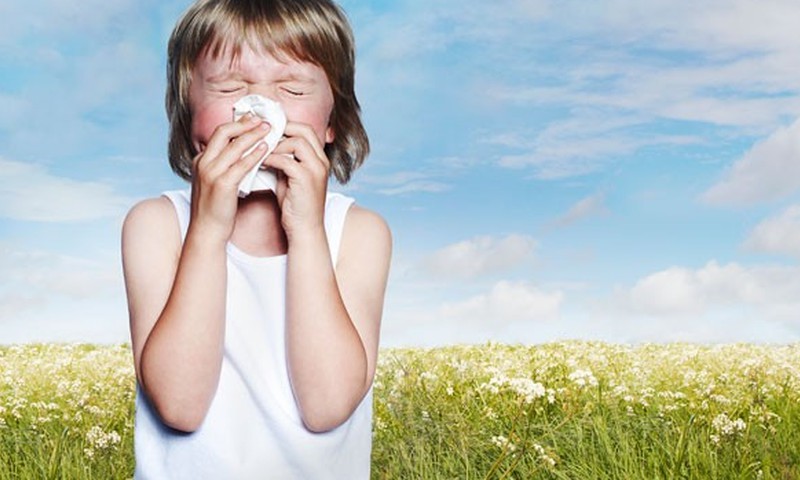 Kaip namuose apsisaugoti nuo skraidančių alergijos sukėlėjų?
