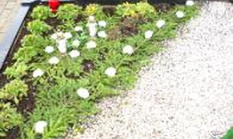 Nėštukė Rasa: Mažylis nutarė dar pabūti pilvelyje