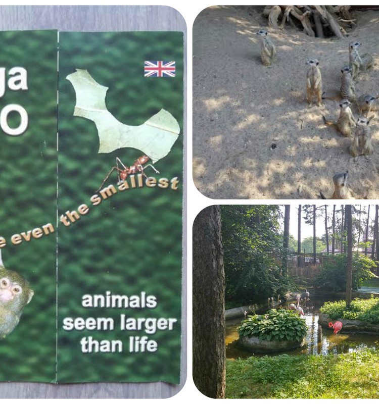 Irmos blogas: zoo sodas - džiaugsmas vaikams