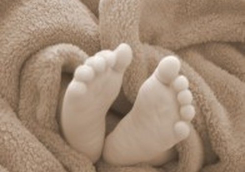  Pirmas „gyvybės langelyje“ paliktas kūdikis jau turi šeimą