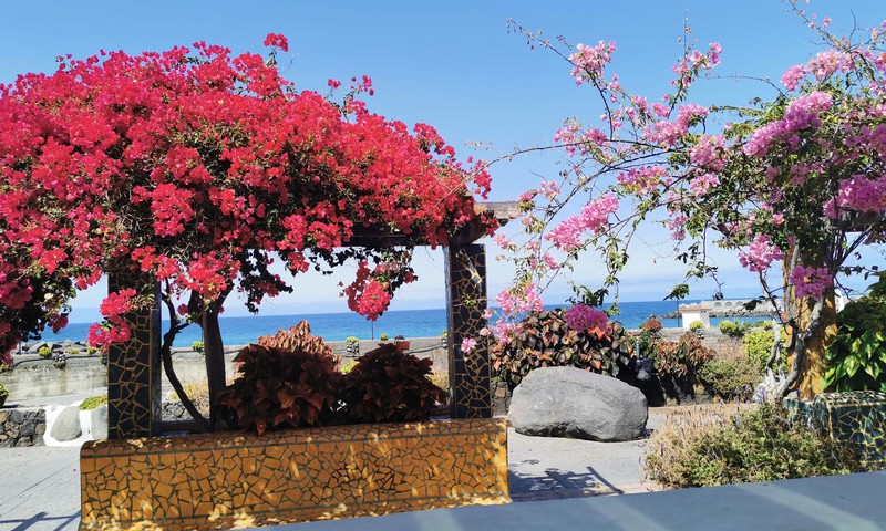 Vasaros gidas: La Palma salos "perliukai"